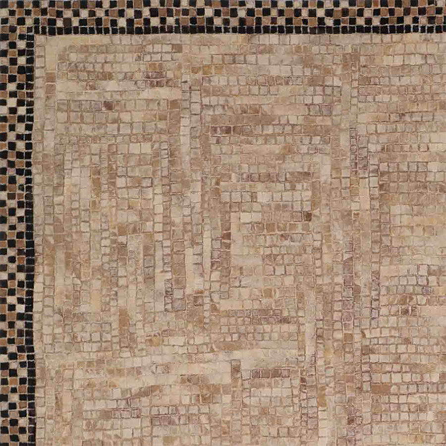 Checker Border - Liora Manne