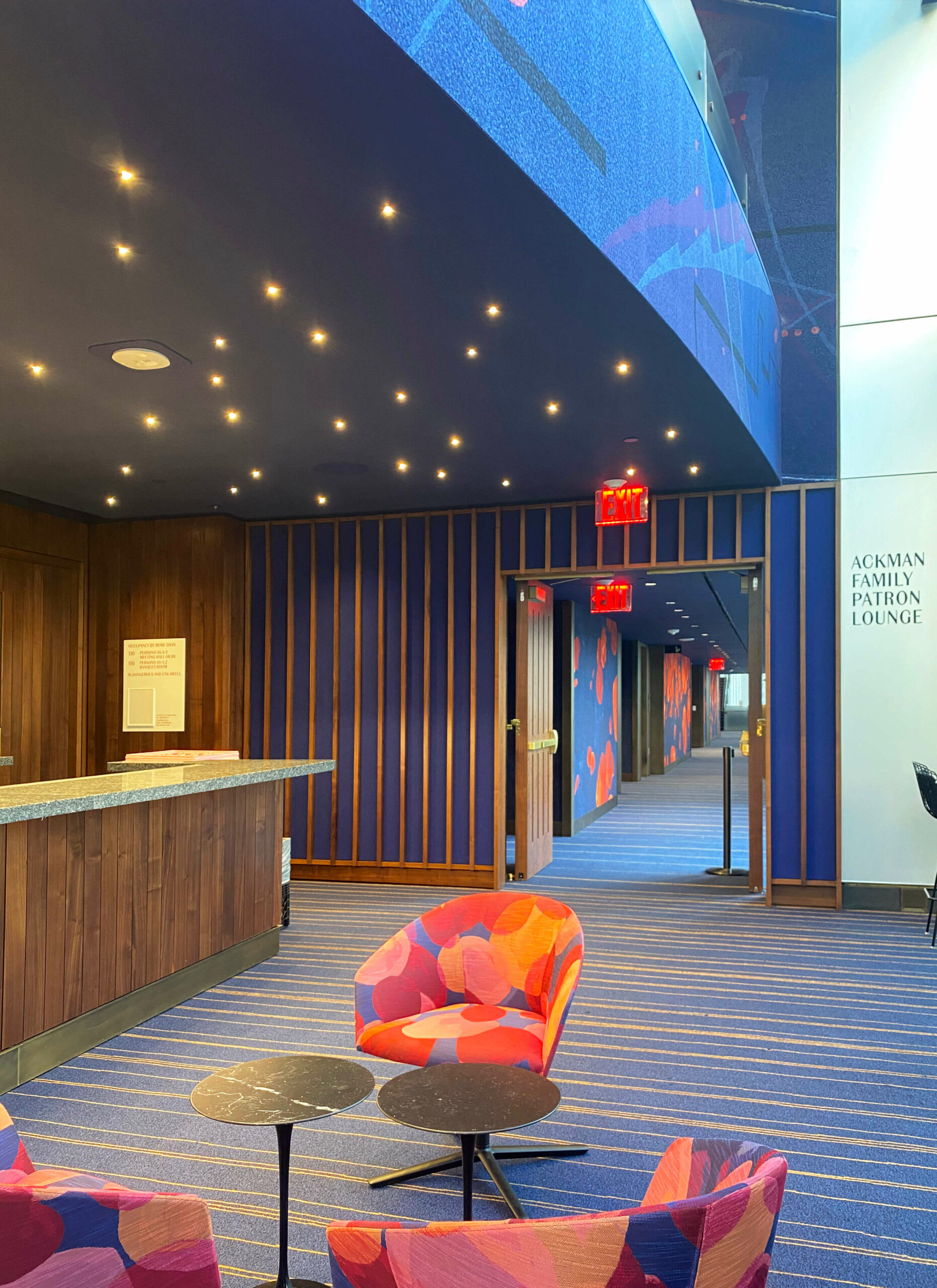 David Geffen Hall at Lincoln Center Liora Manne